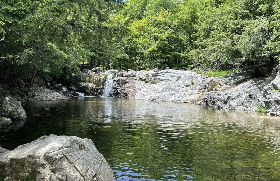 Okemo State Forest